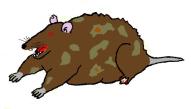cpp keith mascot rat // 607x345 // 23KB