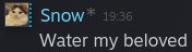 chat murio shitpost steam water wtr // 176x48 // 8.4KB