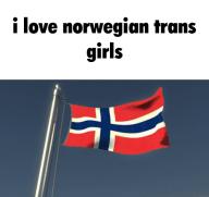 chaser flag lgbt love murio norway odd trans // 498x470 // 1.1MB