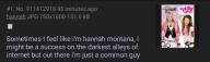 4chong hannah-montana lolwut niche-micro-e-celeb op success // 1080x325 // 115KB